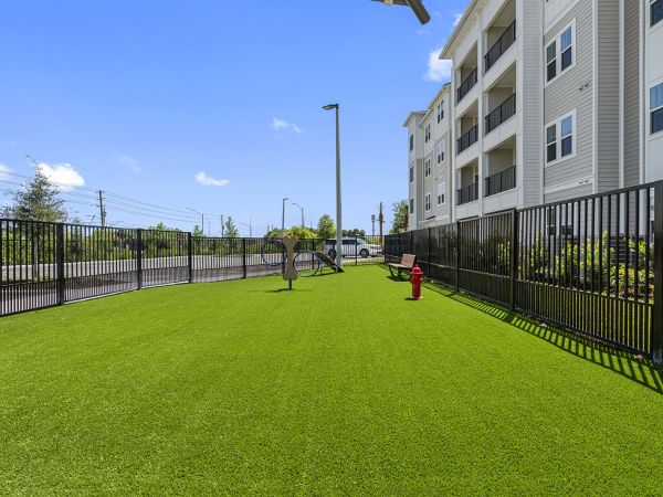 Fenced grassy dog park area beside an apartment building, with a fire hydrant and agility hoops.