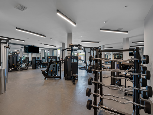 Modern gym with weight racks, machines, and bright lighting, featuring a clean and spacious workout area.